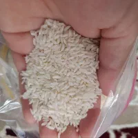 قیمت ۲.۸۰۰|عمده‌فروشی|نجف‌آباد, امیرآباد|دیوار