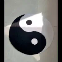 از تخفیفات جا نمونی|فرش|آران و بیدگل, |دیوار