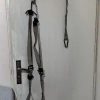 کش تی آر ایکس TRX
