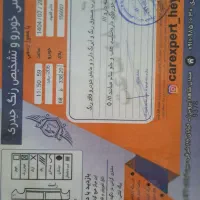 ۲۰۶ تیپ ۲ مدل ۱۳۹۸|خودرو سواری و وانت|پردیس, فاز ۱۱|دیوار