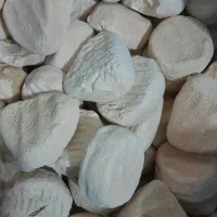 کشک و روغن درجه یک بزخالص