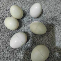 اسباب بازی|اسباب‌بازی بچه|گرمدره, |دیوار