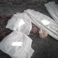 پرده