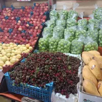مشارکت مغازه میوه فروشی|فروشگاه و مغازه|تهران, وصفنارد|دیوار