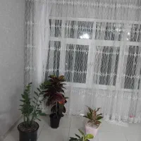پرده پذیرایی