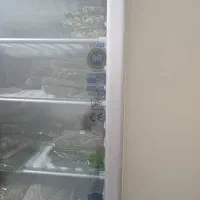 فریزر صنعتی کینو|فروشگاه و مغازه|زرند, |دیوار