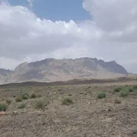 فروش-زمین