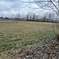 زمین کشاورزی