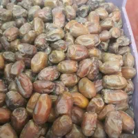 خرما.تمر|خوردنی و آشامیدنی|اهواز, دغاغله|دیوار