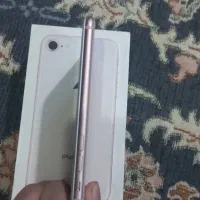 آیفون ۸|موبایل|زاهدان, |دیوار