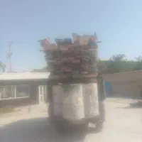 اجاره و نصب داربست خیمه نما تخته بشکه امروز|خدمات پیشه و مهارت|مشهد, جاهد شهر|دیوار