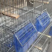 قفس هشت خان اردشیری|لوازم جانبی حیوانات|شیراز, دباغ خانه|دیوار