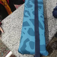 لنسر با کیف