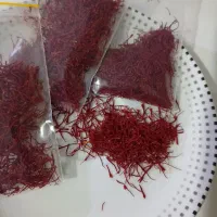 زعفران ناب خرم آباد ،کاشت خودمان