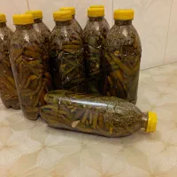 خیارشور خونگی