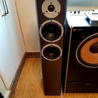 اسپیکر داینادیو Dynaudio