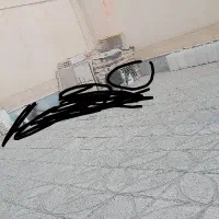 کفتر گم شده