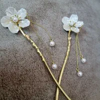 انواع بدلیجات رنگ ثابت