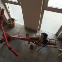 دوچرخه دست دوم|دوچرخه، اسکیت، اسکوتر|تهران, افسریه شمالی|دیوار