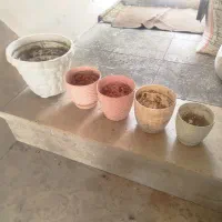 گلدون وقوم قومه