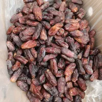 پیارم فقط 250|خوردنی و آشامیدنی|بندرعباس, |دیوار