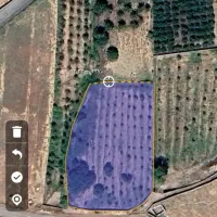 باغ سرخده علیا