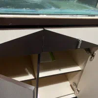 اکواریوم|ماهی|رشت, فلسطین|دیوار