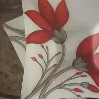 ظروف شیشه ای، بلور و پلاستیکی
