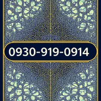 0914 919 0930 (دائمی و لاکچری)|سیم‌کارت|تبریز, |دیوار