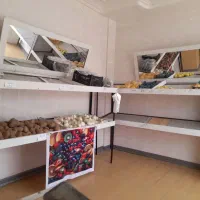 اجاره مغازه الهیه شمالی و فروش قفسه میوه فروشی|اجارهٔ مغازه و غرفه|بندرعباس, |دیوار