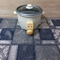 پلو پز و آرام پز