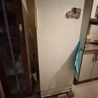 یخچال ارج کارکرده