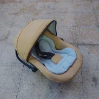 کالسکه و کریر دلیجان