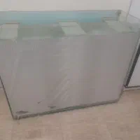 اکواریوم|ماهی|تربت‌حیدریه, پائین ولایت|دیوار