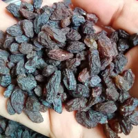 گردو کشمش شیره انگور آذربایجان|خوردنی و آشامیدنی|تهران, وصفنارد|دیوار