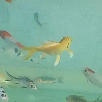 آکواریوم بزرگ با ماهی و لوازمات