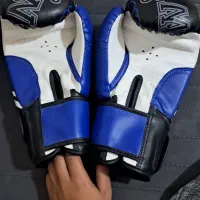 دستکش بوکس TWINS|تجهیزات ورزشی|رفسنجان, |دیوار