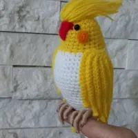 هلندی بافتنی