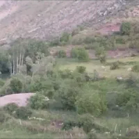 زمین باغی