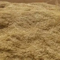 کاه گندم