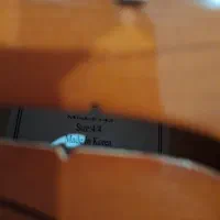 ویولن TF|ویولن|پردیس, فاز ۱۱|دیوار