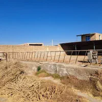 دامداری صنعتی مجزا|اجارهٔ دفتر صنعتی، کشاورزی، تجاری|نیشابور, شهرکهنه|دیوار