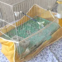 قفس قناری بزرگ رنگ سفید 2 درب