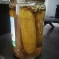 خیارشور خونگی