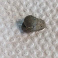 سنگ مرغ خدا