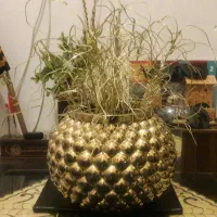 دکوری منزل|صنایع دستی و سایر لوازم تزئینی|تهران, سید خندان (جلفا)|دیوار