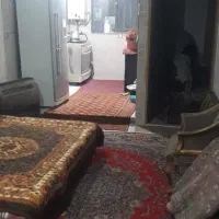 همخونه خانم