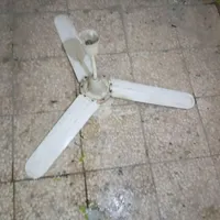 پنکه سقفی