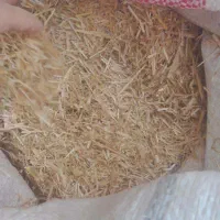 کاه(خرمن کوب و در بیله سوار)