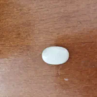 سنگ حرم امام حسین علیه السلام به فروش می‌رسد